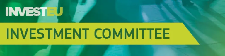 Investment Committee